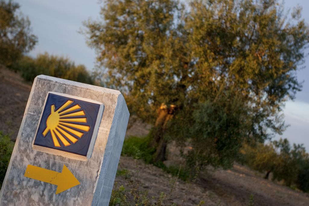 Extrenatura Alojamiento Albergue Villafranca de los Barros Buitenkant foto